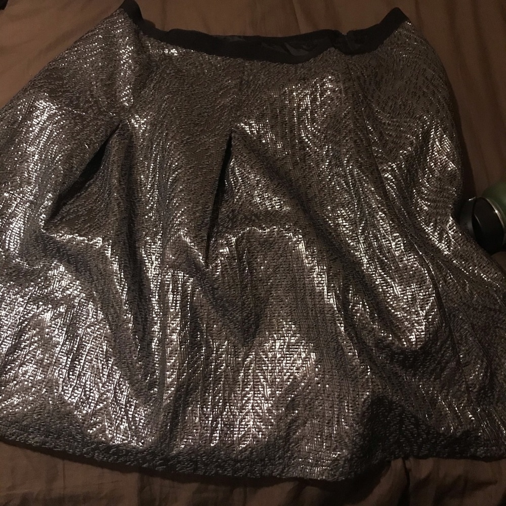Shiny skirt